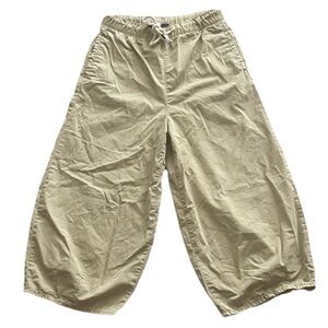 Zara Wide Leg Barrel Pants